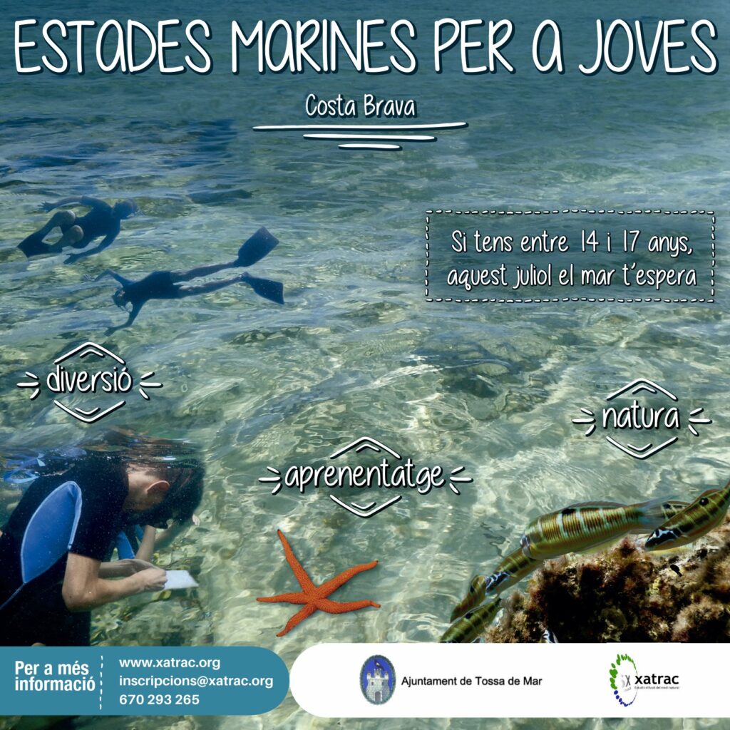 Cartell de les estades marines per a joves de Xatrac