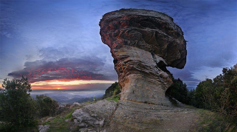 Resultat d'imatges de ROCACORBA