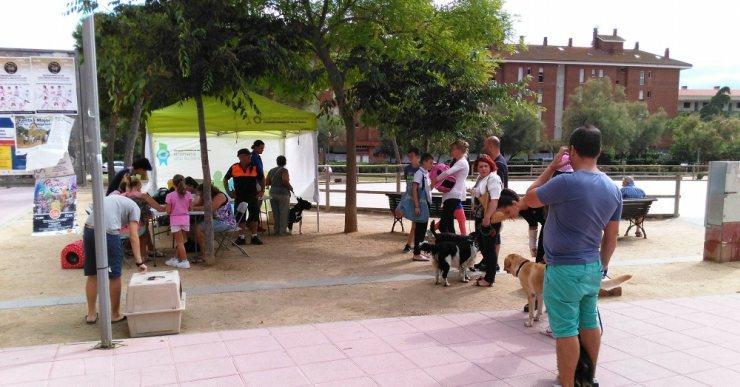 Gairebé 200 mascotes passen per la campanya ‘Identifica’m, posa’m el xip’