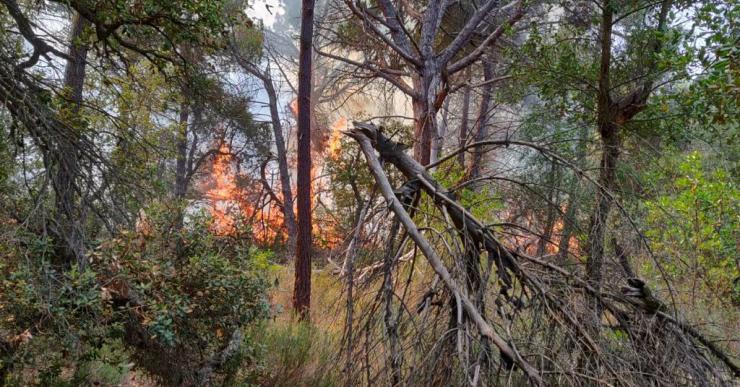 Controlat l’incendi que crema des d’aquest matí a la urbanització Roca Grossa