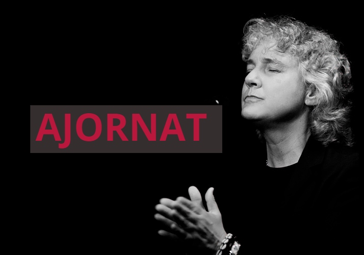 Cartell del concert de Maite Martin ajornat