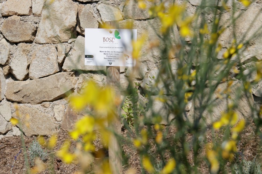 Cartell del bosc de papallones de Malgrat de Mar