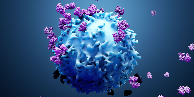 Cèl·lules canceroses.