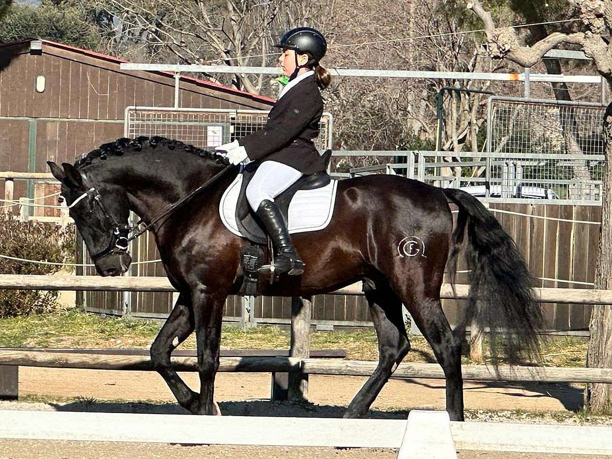 hipica 3
