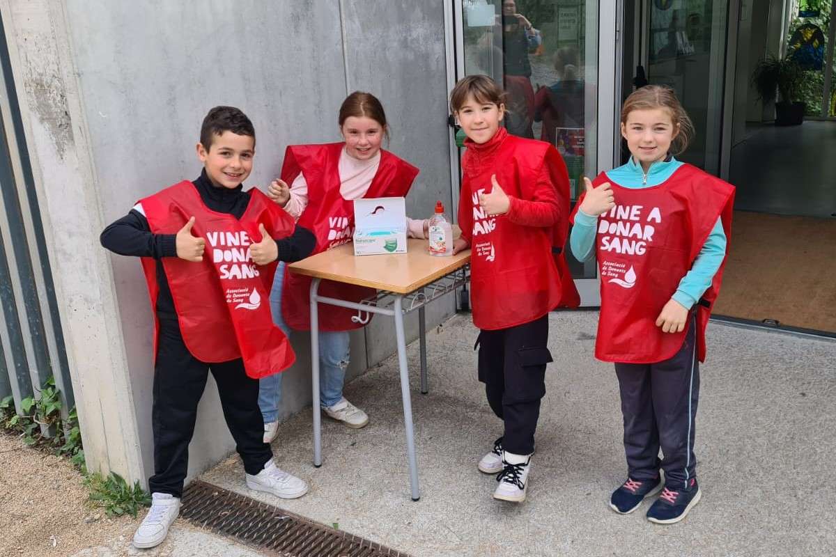 Alguns dels alumnes que van col·laborar amb la campanya (Institut Escola Lloret de Mar)