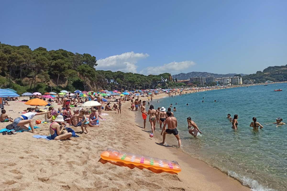 La platja de Fenals, l'estiu passat