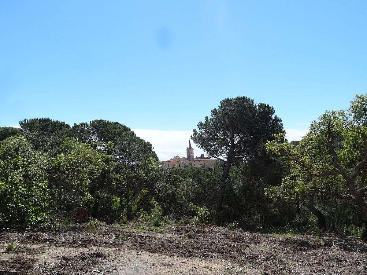 sant pere del bosc