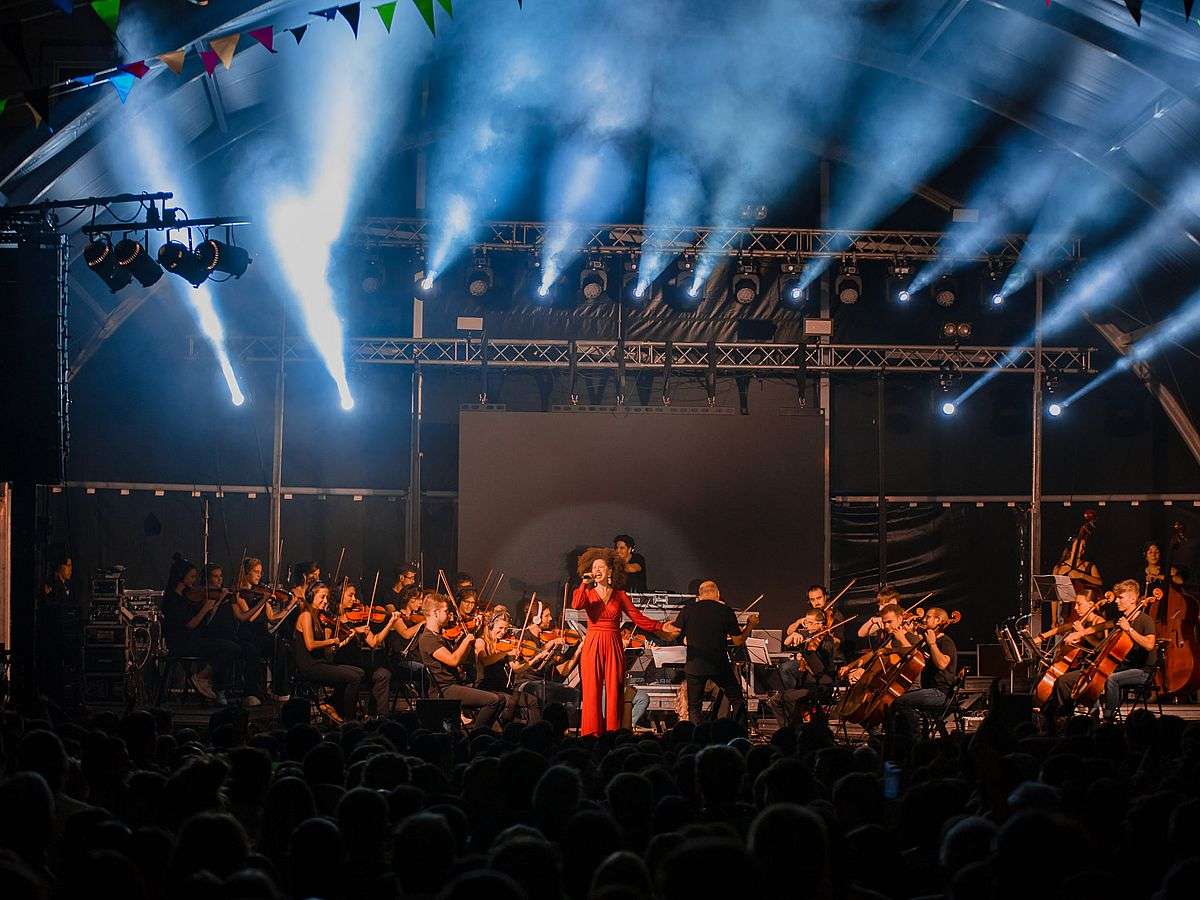 electrobacasis