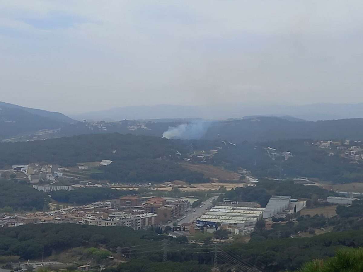 foc 2