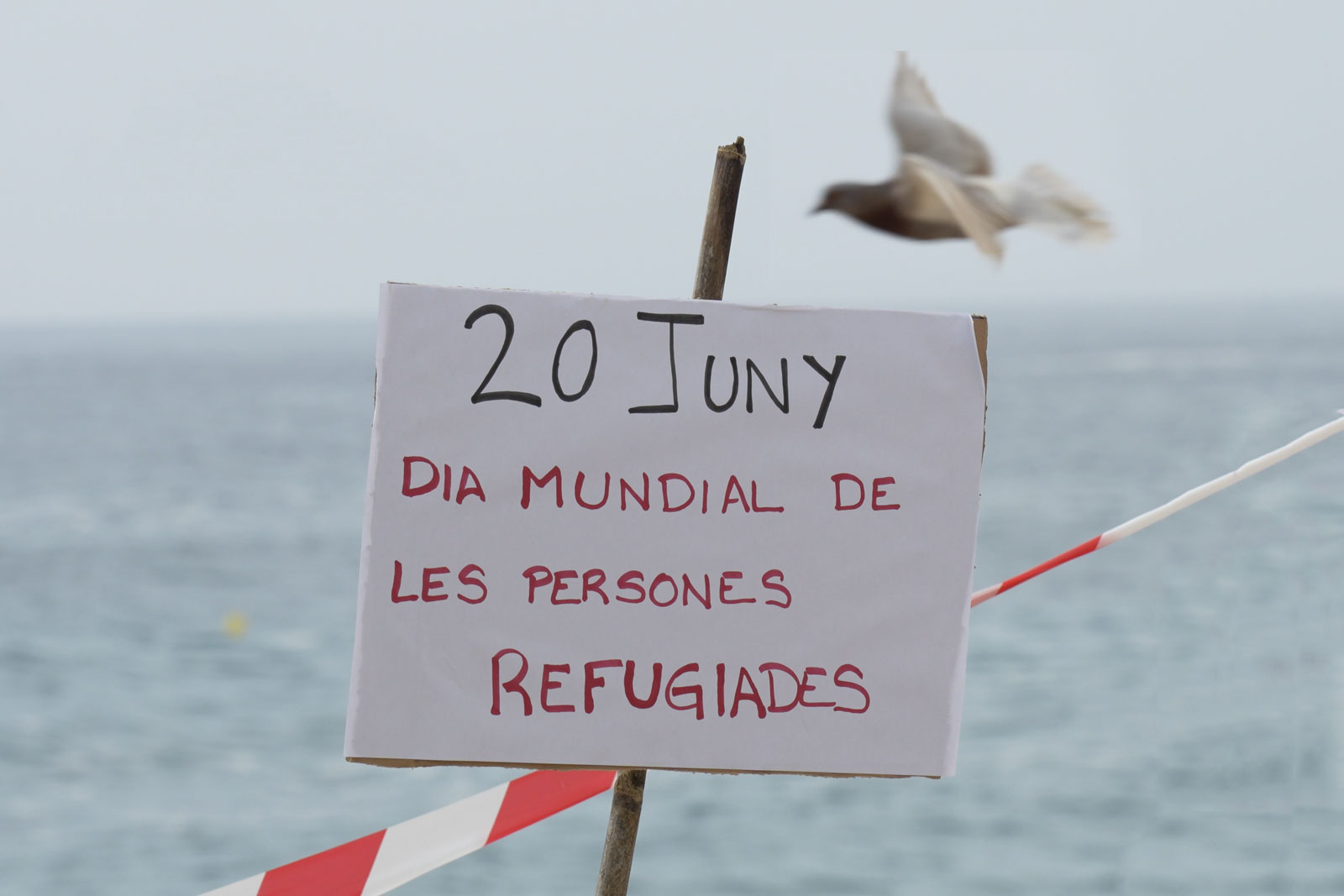 Dia Mundial del Refugiats