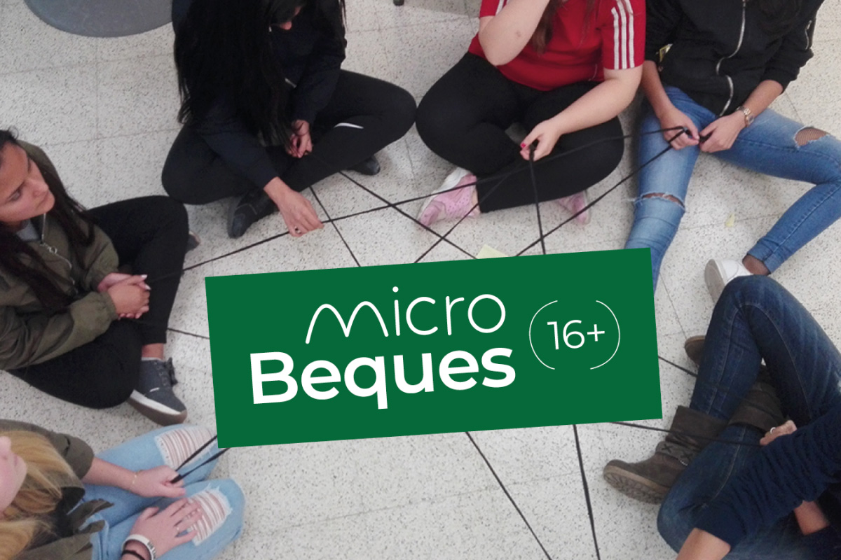 Microbeques de la Fundació Sergi