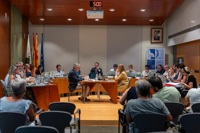 Un ple anterior d'aquest mandat.