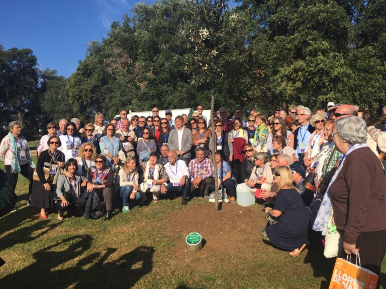 L'arbre plantat per Renacer al 2016 a Lloret