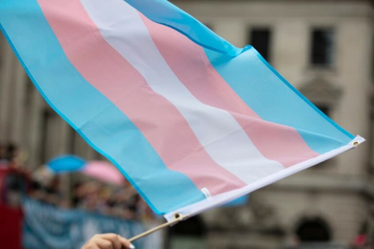 Bandera trans (Creativos Online)