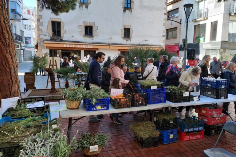 La Fira dels Sants Metges del 2022 (Xino-Xano)