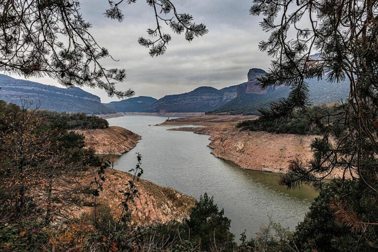 panta sau, jordi borras acn