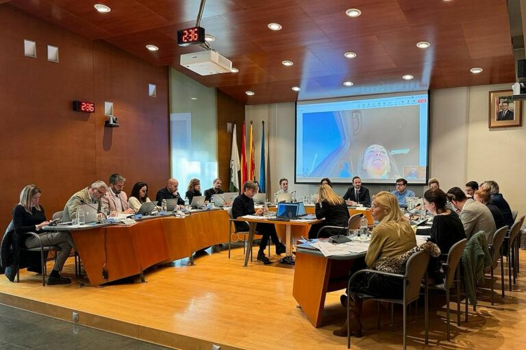 Ple ordinari de pressupostos del desembre.