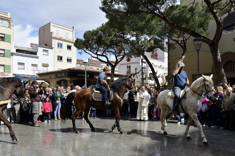 benediccio animals 2017