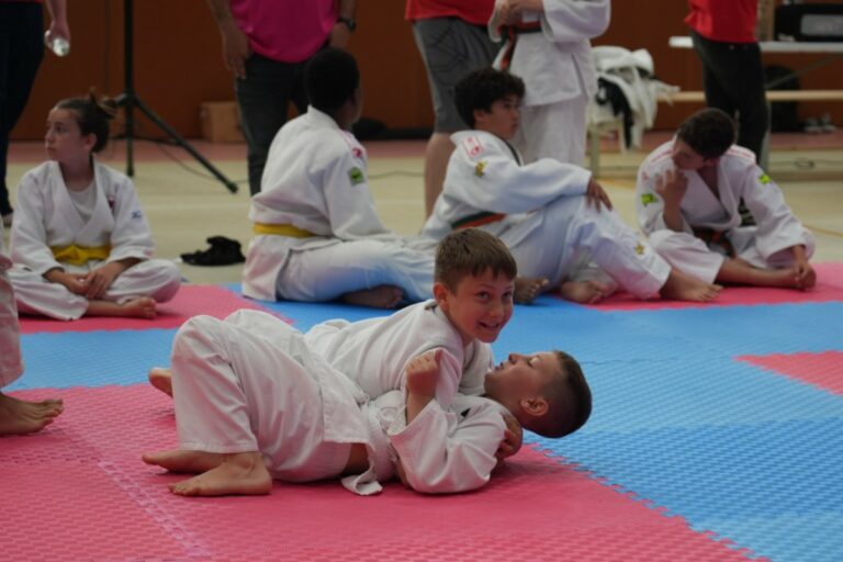 Edició anterior de la Lliga Territorial de Judo (Consell Esportiu de la Selva)