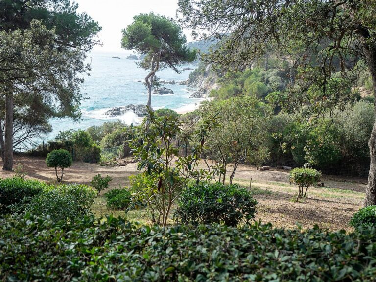 indret a on va l'amfiteatre dels jardins