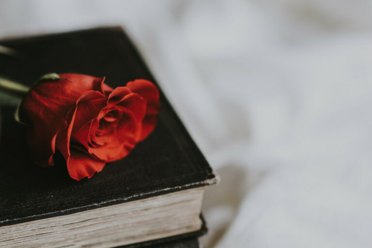 sant jordi 2021 accio cultural entitats