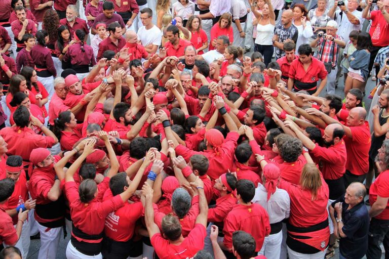 pinya dels maduixots del maresme