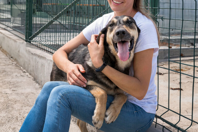 Un gos en un refugi d'adopció (Freepik)
