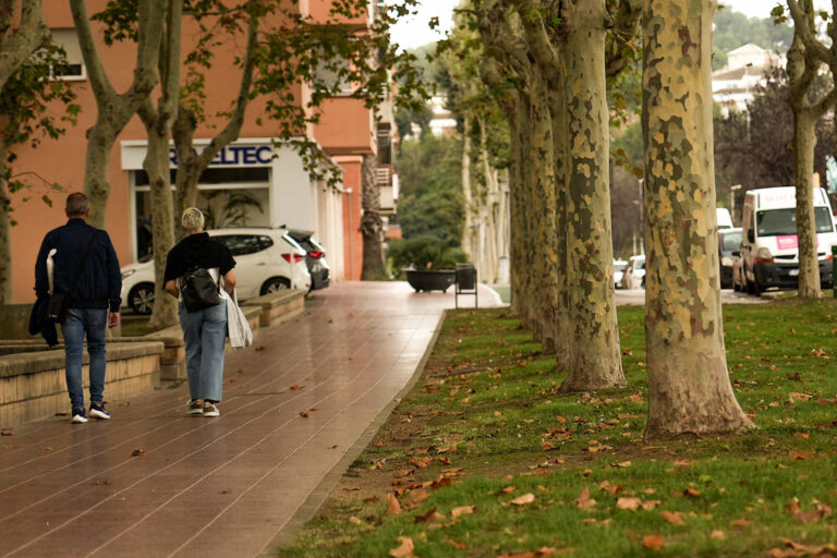 Dues persones caminant entre arbres amb fulles a terra