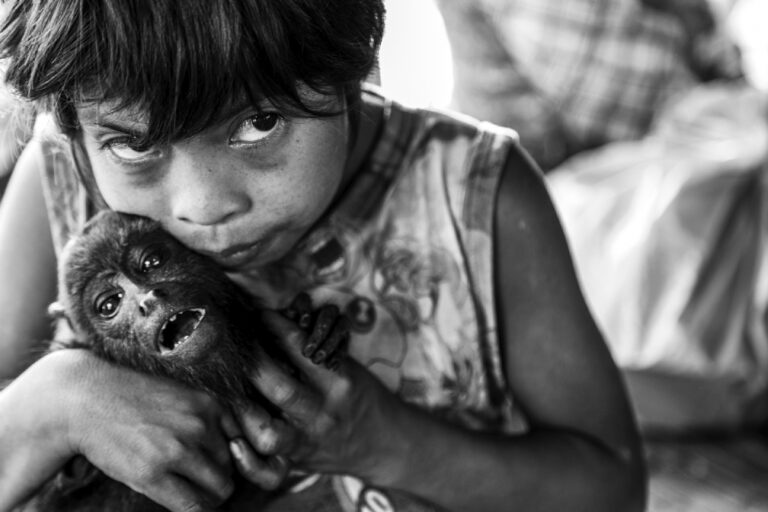 Una de les fotos finalistes de Portfolios de Jason Houston