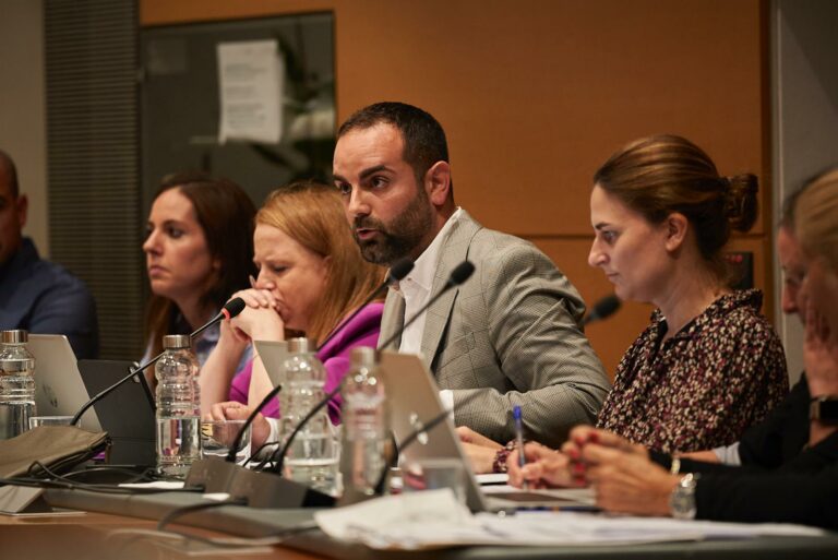Albert Ferrandez intervé al ple, amb Lara Torres al costat copia