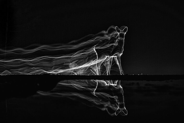 Irma_Szabo_B1_Night_walking