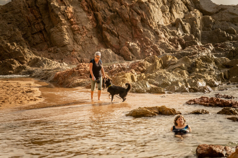 Un gos i banyistes a la platja de Lloret