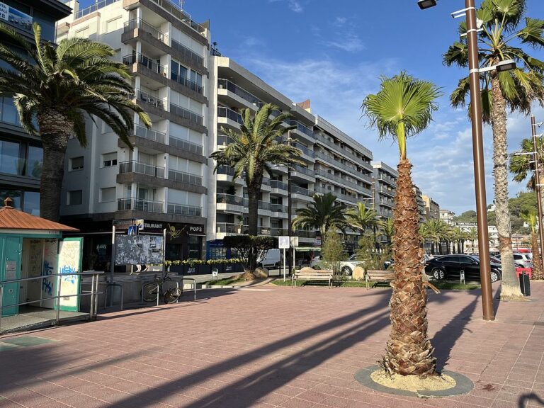 palmera petita horitzontal