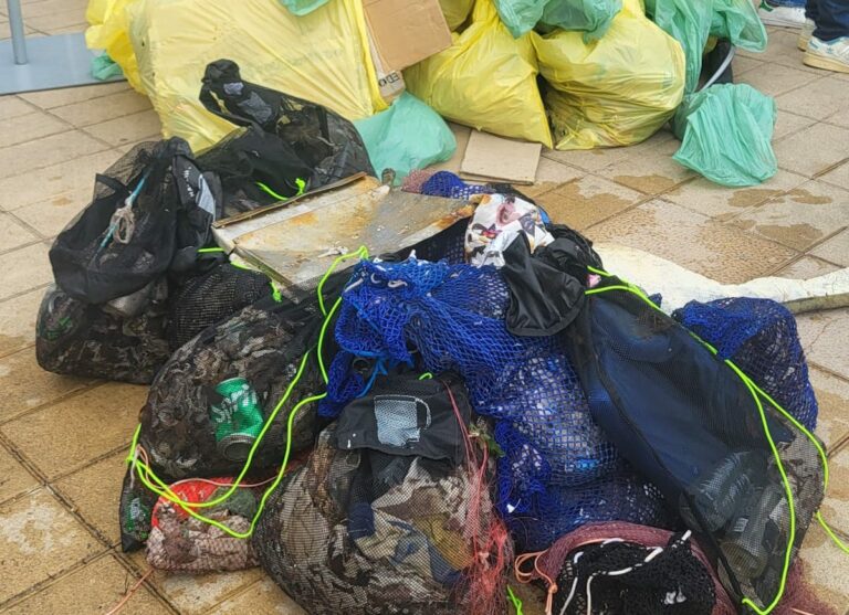 residus en bosses recollits al plogging