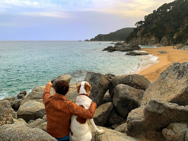 una de les imatges del concurs de fotografia animalista de Lloret de Mar.