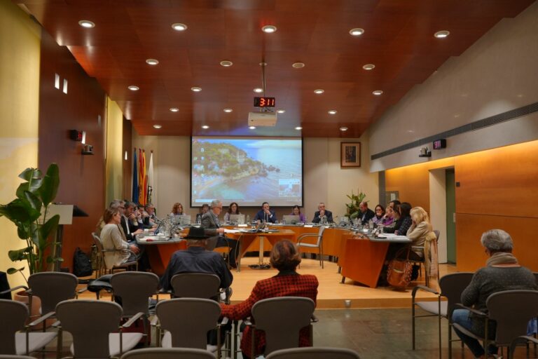 ple ordinari del mes de novembre