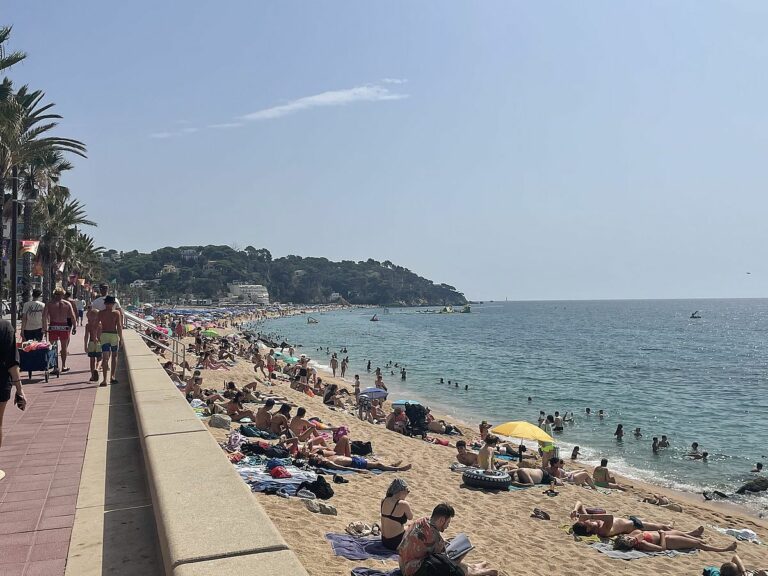 Banyistes, aquest estiu del 2024 a la platja.