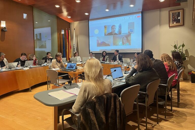 foto ple extraordinari estat municipi desembre