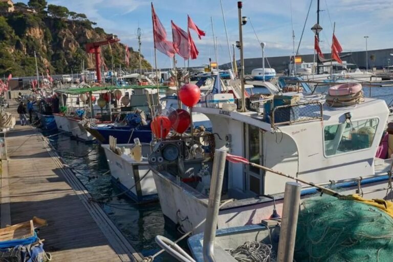Vaixells amarrats al port de Blanes aquest dilluns (Diari de Girona)
