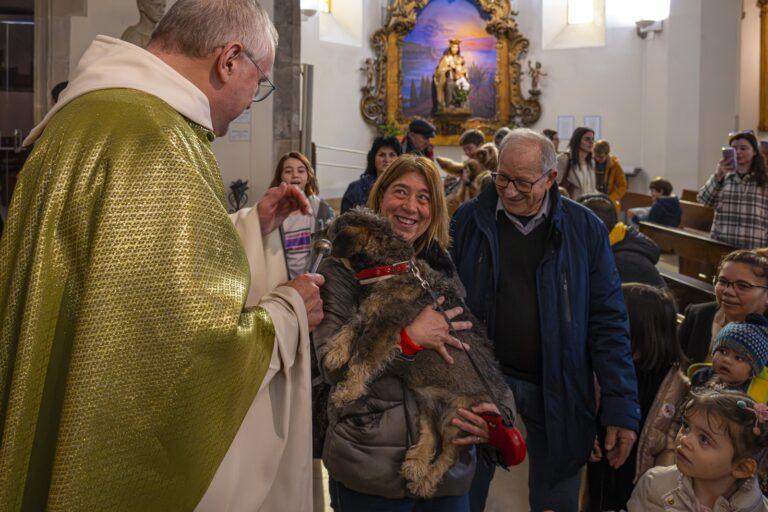 El pròxim 26 de gener es farà la benedicció dels animals, a l’església de Lloret