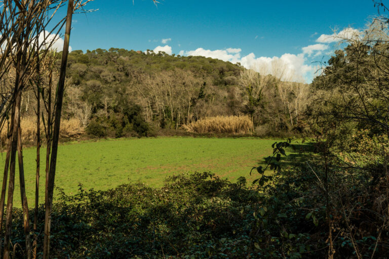 L’Ajuntament de Lloret no ha donat cap llicència per construir un heliport a la vila