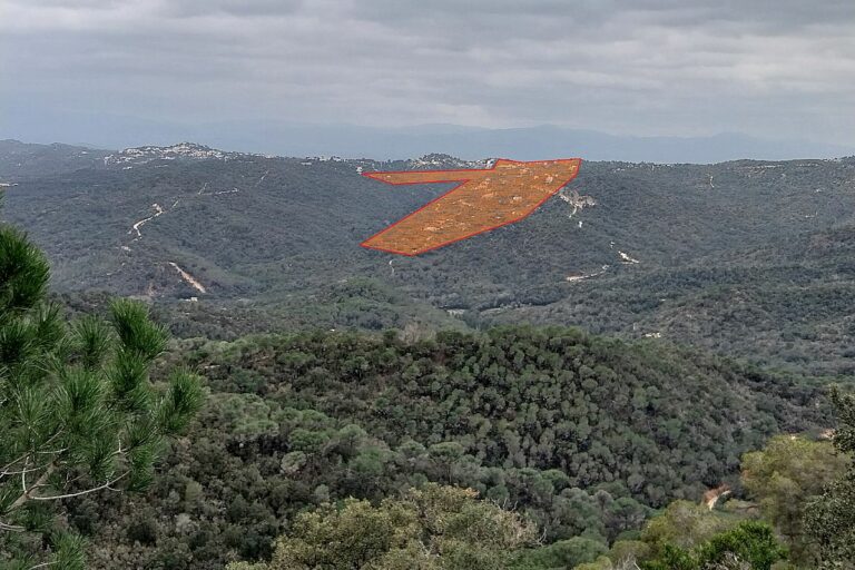 alegacions sos lloret i sos costa brava
