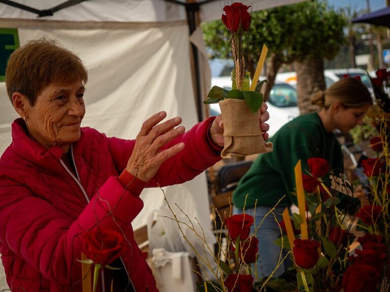 Sant Jordi 2023 (Ajuntament) (9)