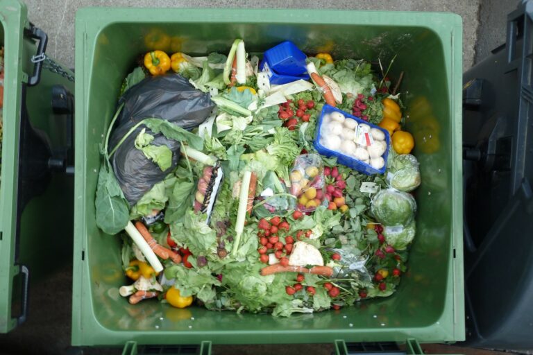 Malbaratament alimentari (Viquipèdia)