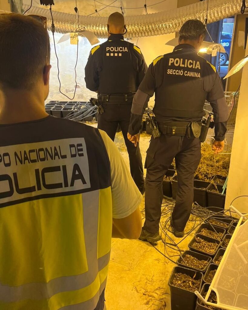 Una de les actuacions policials antidroga (Ajuntament de Lloret de Mar)