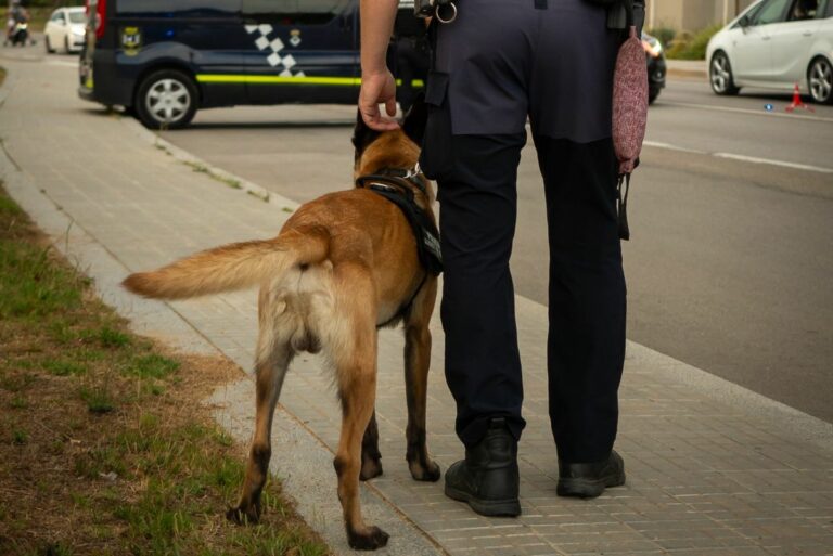 unitat canina