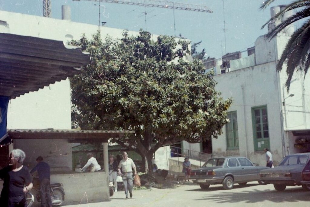 El Mercat Municipal el 1979, ubicat a la plaça dels Germans Maristes (Servei d'Arxiu Municipal de Lloret de Mar)