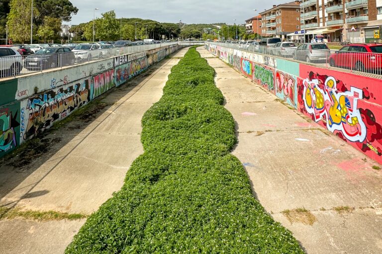 La riera de Lloret (Ajuntament de Lloret de Mar)