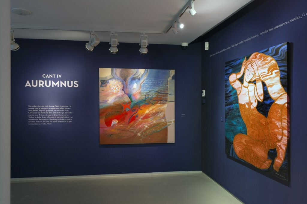 Una part de l'exposició 'La força Verdaguer' de Neus Dalmau (Xavi Padrós)