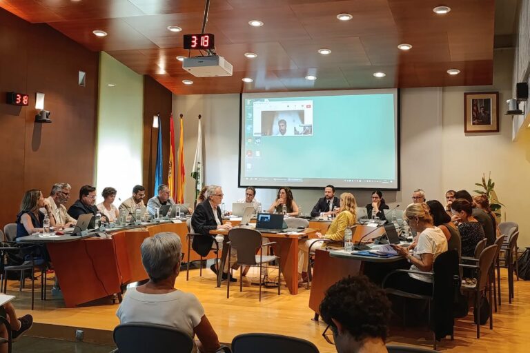 ple ordinari 30 juny 2025